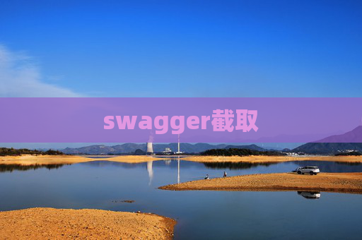 swagger截取